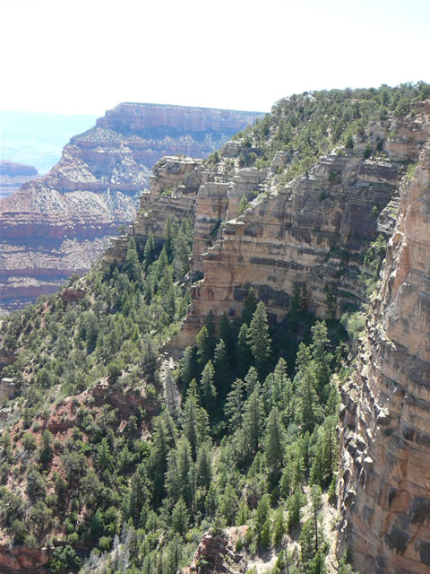 images/A- Yaki Point Canyon View (5).jpg